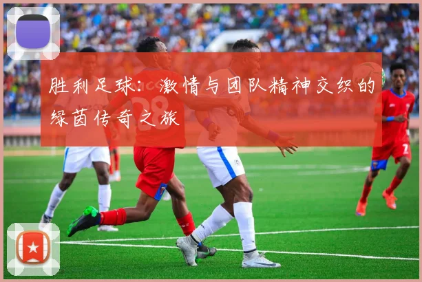 胜利足球：激情与团队精神交织的绿茵传奇之旅