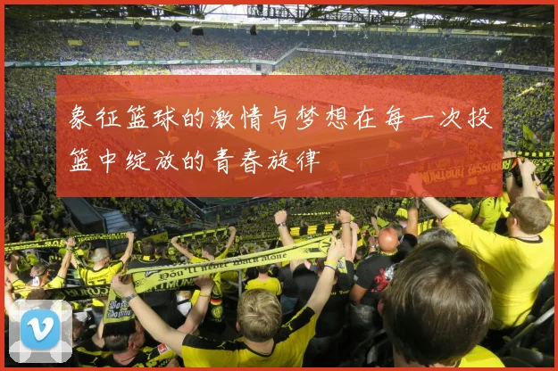 象征篮球的激情与梦想在每一次投篮中绽放的青春旋律