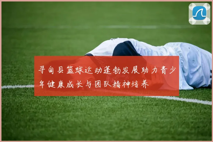 寻甸县篮球运动蓬勃发展助力青少年健康成长与团队精神培养