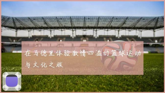 在马德里体验激情四溢的篮球运动与文化之旅