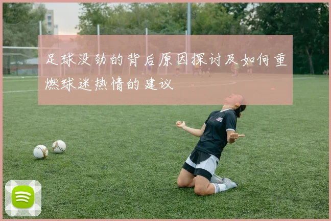 足球没劲的背后原因探讨及如何重燃球迷热情的建议