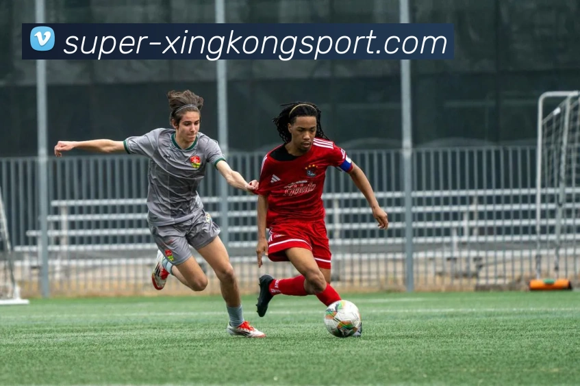 App Interface Preview