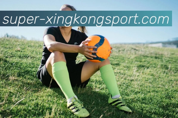 星空体育APP 封面图