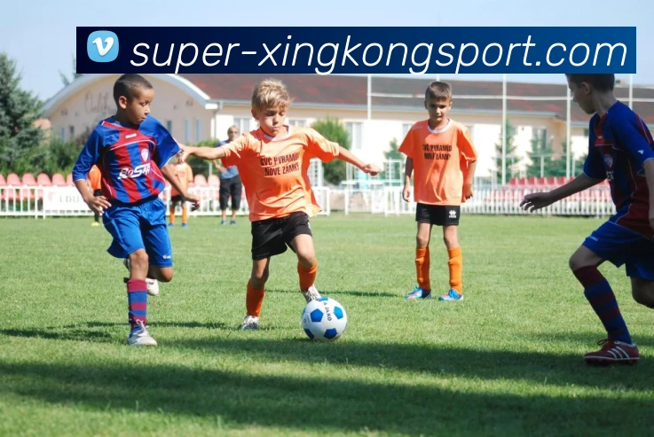 数据防护可视化